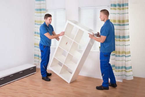 Manual handling and lifting safety during a move