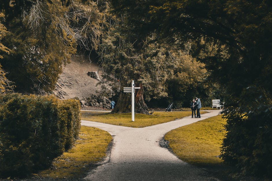 A park scene with a gravel pathway splitting into two directions, surrounded by lush trees and dense foliage. In the middle ground, a white directional signpost stands at the fork of the paths. To the right, a small group of people is visible, standing on the pathway near a large, mature tree with a thick trunk and expansive branches. The scene is set during daylight hours with natural light illuminating the greenery. The park features benches placed along the pathways, and the ground is covered in grass and moss, adding to the natural environment. The overall setting suggests a peaceful outdoor location suitable for leisure walks or meetings, with the pathways indicating access routes for visitors. [COMPANY_NAME], a house removals service, could use this as an analogy for setting a clear route or plan during a home relocation or furniture transport process, emphasizing careful navigation and planning in moving logistics.